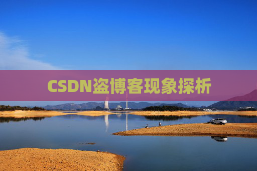 CSDN盗博客现象探析